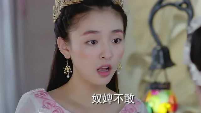 白落衡视频,揭秘网络红人的魅力与影响力