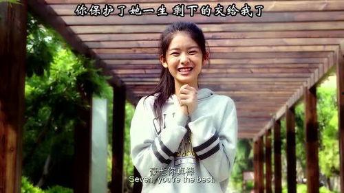 宠爱部分视频,温情满满的人犬情缘