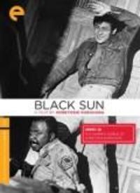 黑太阳视频,探寻历史阴影下的真相与秘密